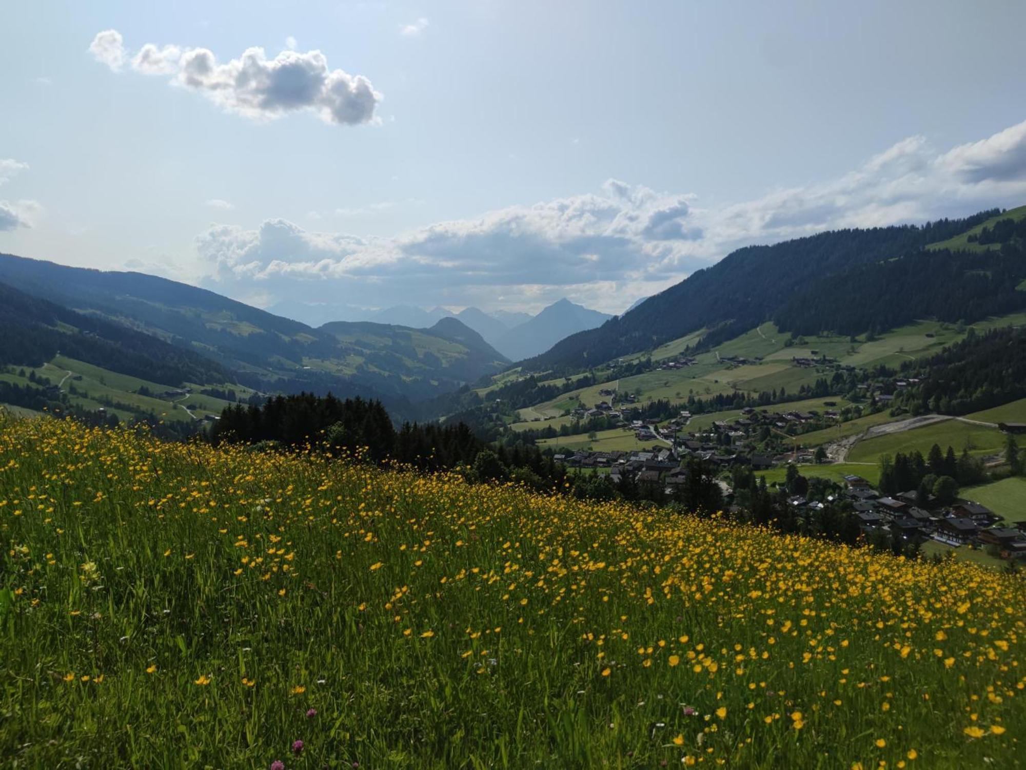 Chalet Mountain View Alpbach Exterior photo